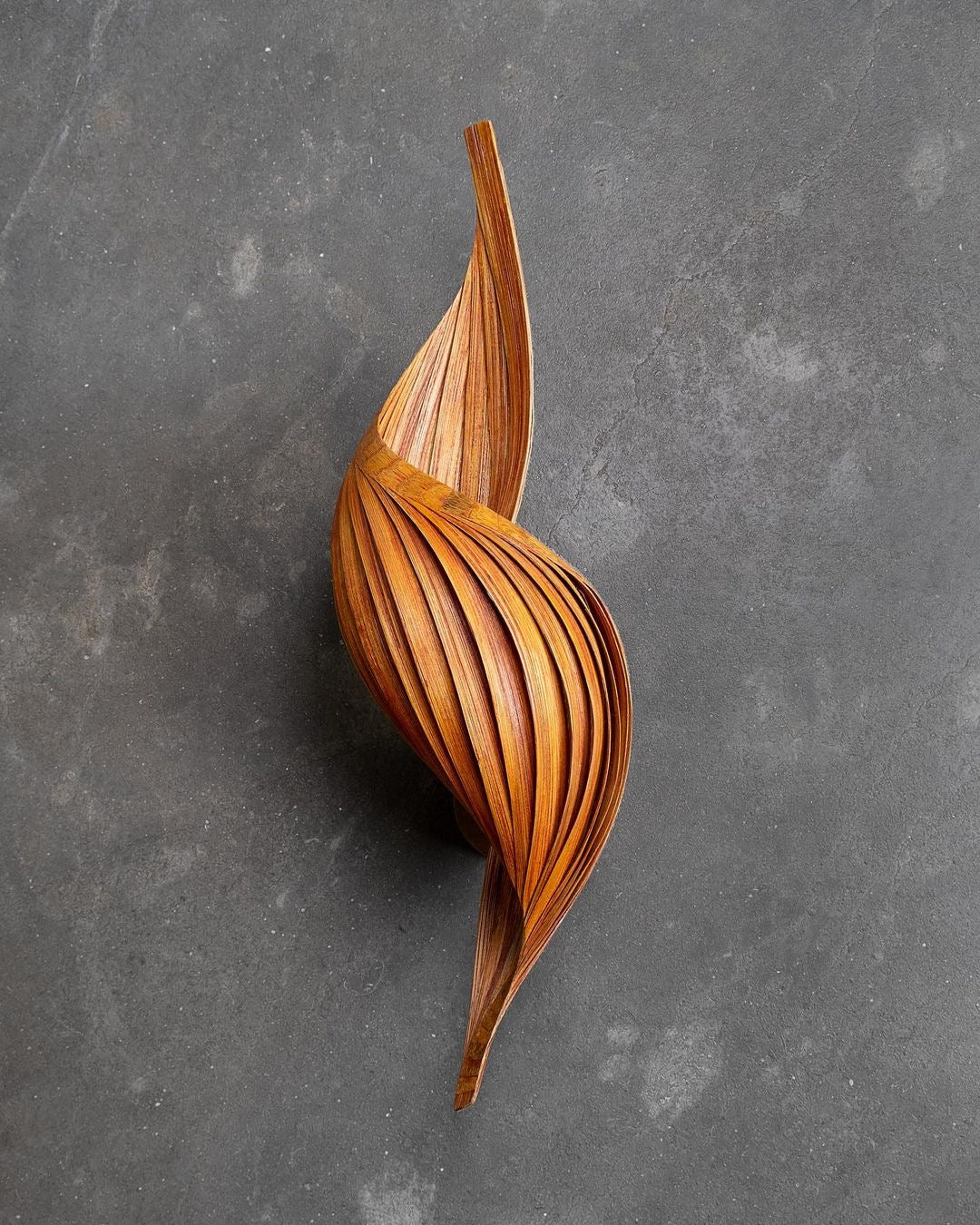 Bamboo swirl wall lamp